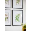 Set of 4 Botanical Flower Wall Art, Home Decor for Living Room, Dining Room, Bedroom, Hallway, 20" x 28"