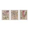 Linen Botanicals Illustration 3-piece Canvas Wall Art Set