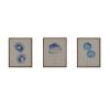 Blue Print Botanicals 3-piece Framed Canvas Wall Art Set