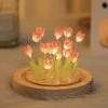 1pc Tulips Gifts For Women Flower Gifts For Her Gifts For Women Birthday Xmas Gift For Mom; Artificial Decor In Glass Dome With Led Light Night Light;